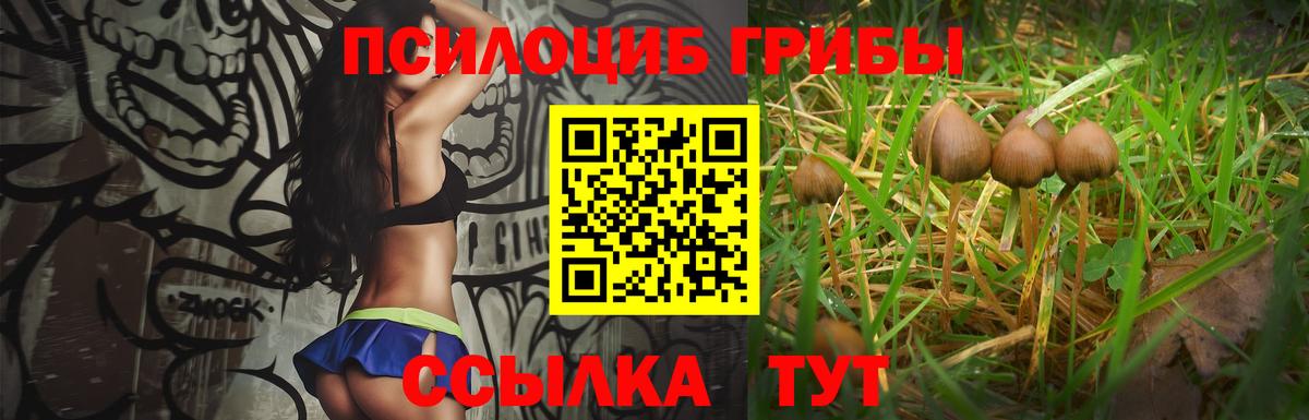 Галлюциногенные грибы Psilocybine cubensis  Вход с VPN  Воронеж 