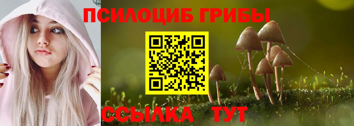 Галлюциногенные грибы Psilocybe Воронеж