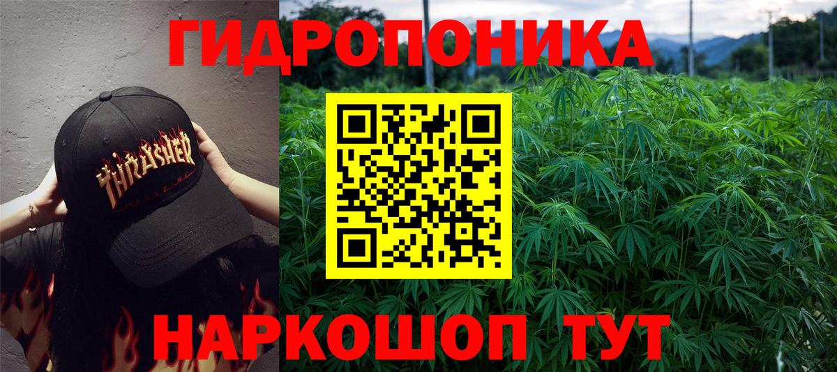 Марихуана семена  Марихуана Bruce Banner  Бошки Шишки план  Воронеж  Бошки Шишки индика  Вход с VPN 
